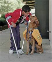 Service Animals (2).jpg